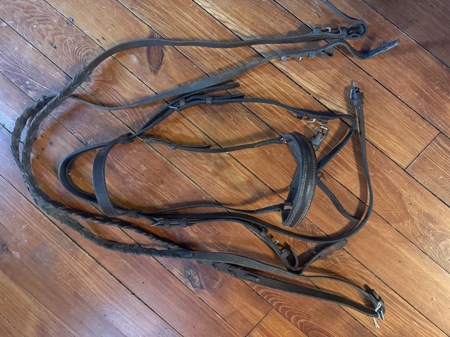 Fill sized schooling bridle and reins