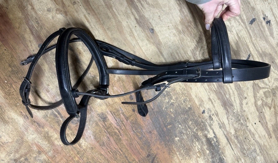 Kieffer flash bridle