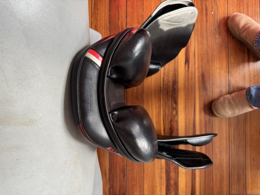 17.5” Erreplus CA Saddle - Black - WOOL Flocked - Fully Adjustable