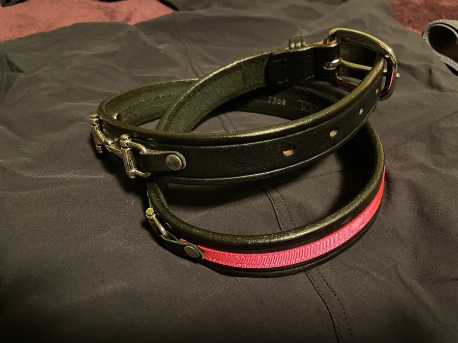 Tory Bit Belt