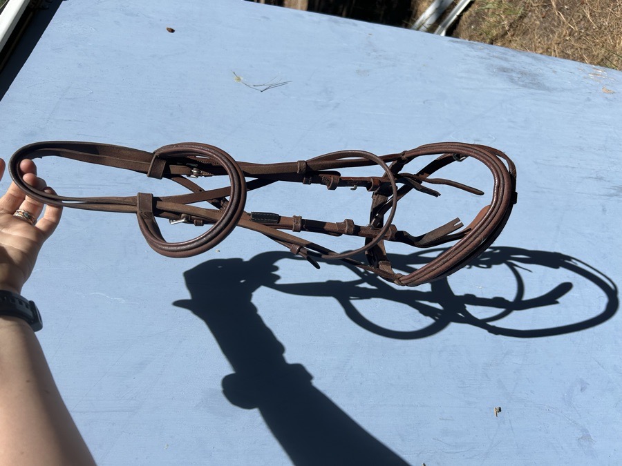 OTHER Bridle Horse