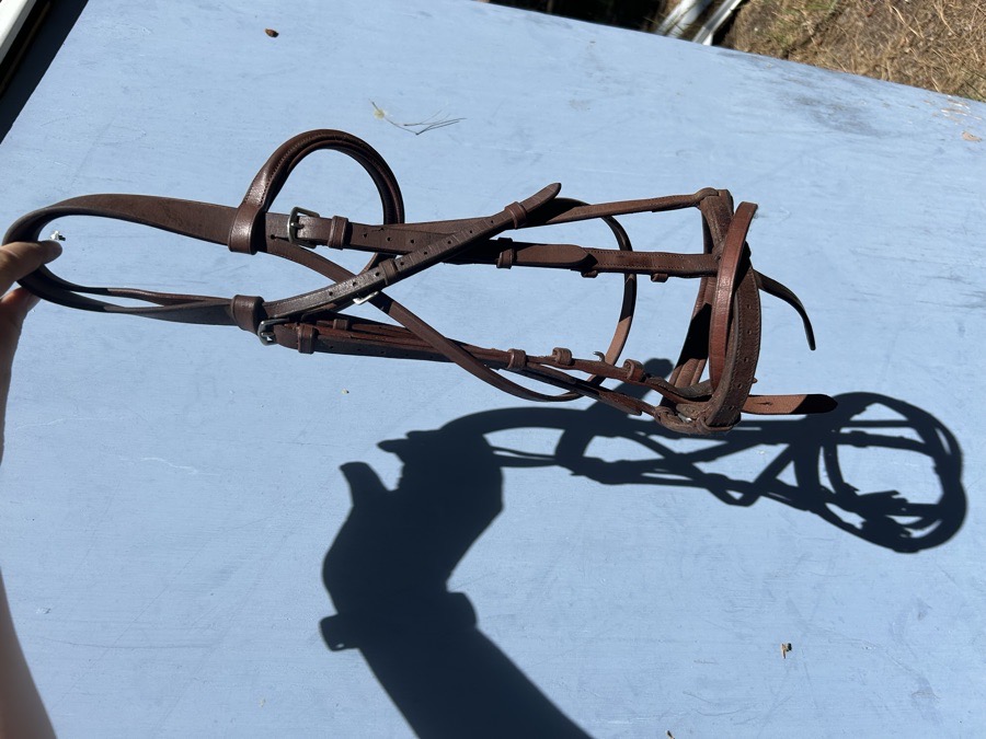 OTHER Bridle Horse