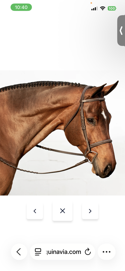 Equinavia Cob Saga Fancy Stitched Hunter Bridle & Reins - Chocolate Brown