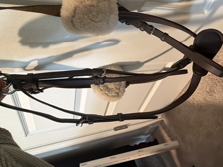 Used HDR 5 point Breastplate with Running Attachment
