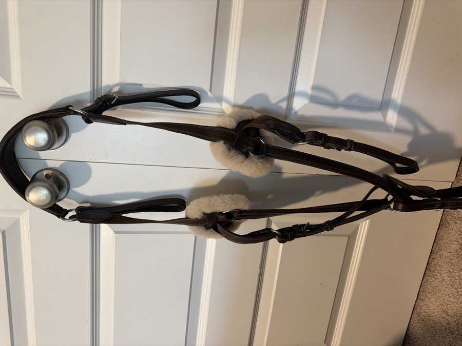 Used HDR 5 point Breastplate with Running Attachment