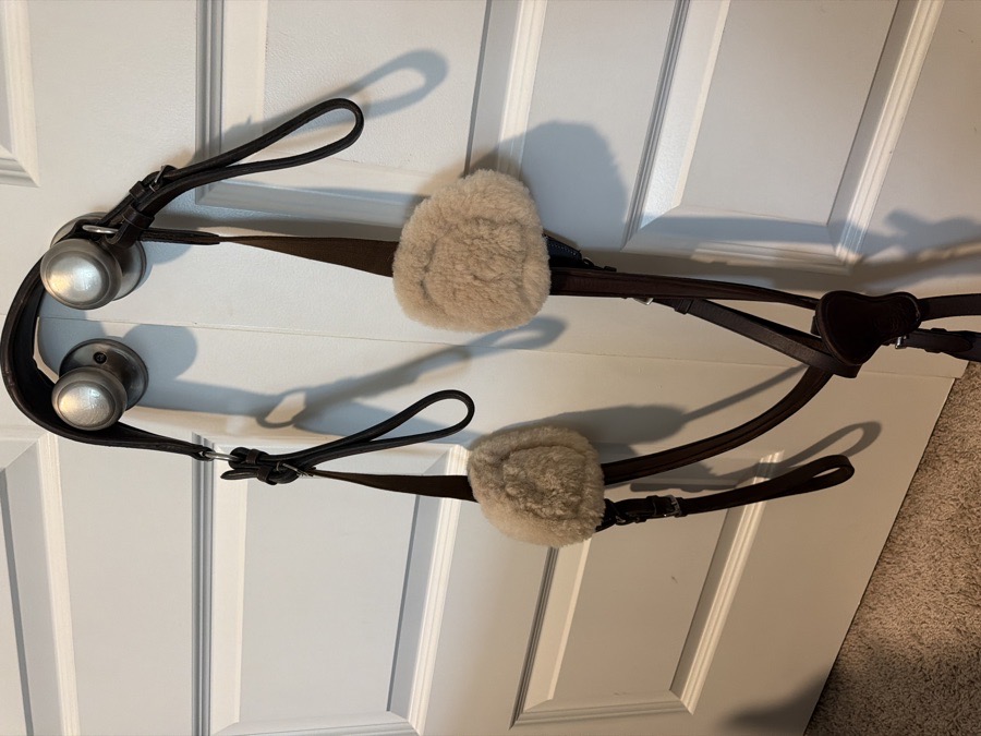 Used HDR 5 point Breastplate with Running Attachment
