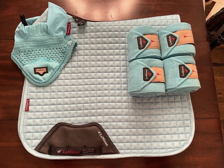 LeMieux Azure complete set