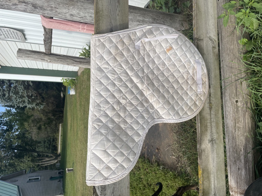 Shaped English saddle pad