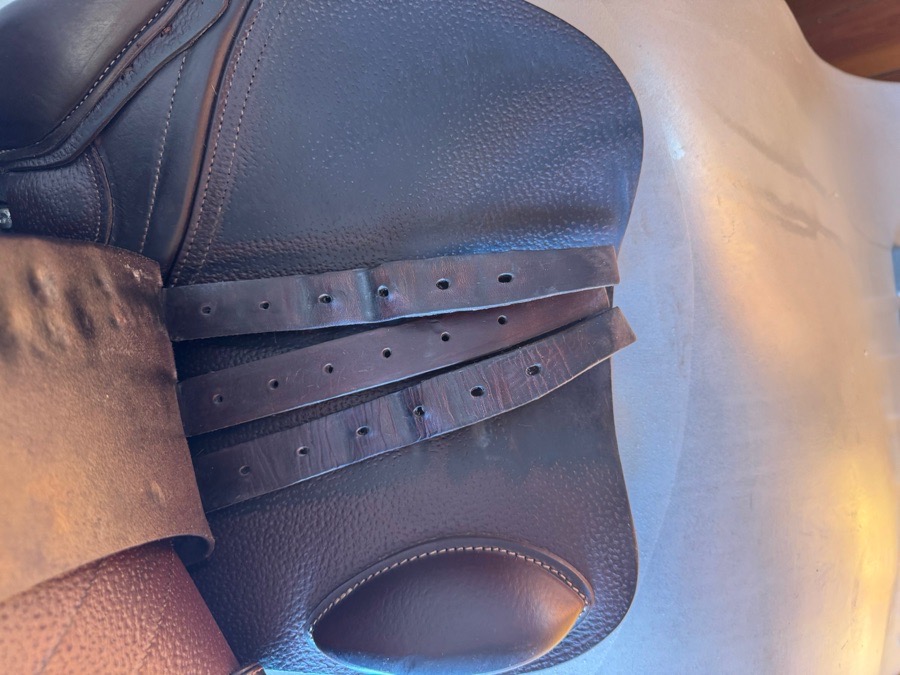 17” 2020 CWD SE01 Saddle - 3L - Full Buffalo!