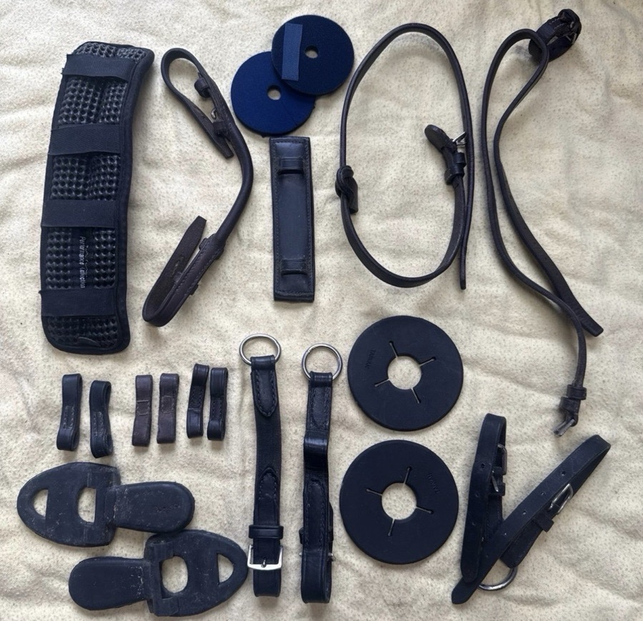 lot of bit and bridle accessories