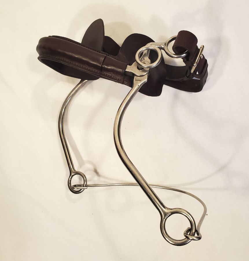 Stephens Continental Hackamore