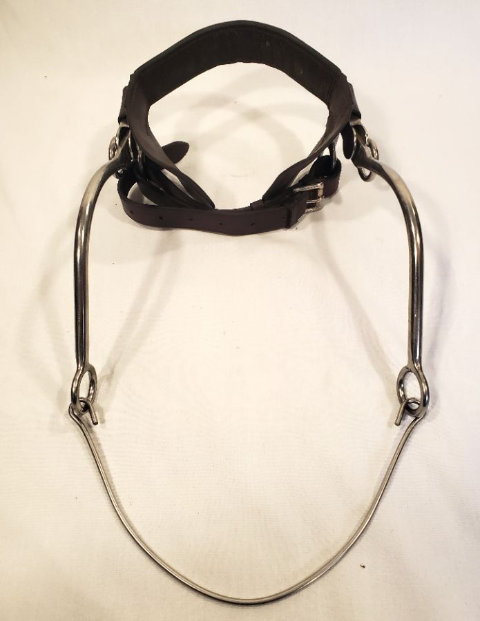 Stephens Continental Hackamore