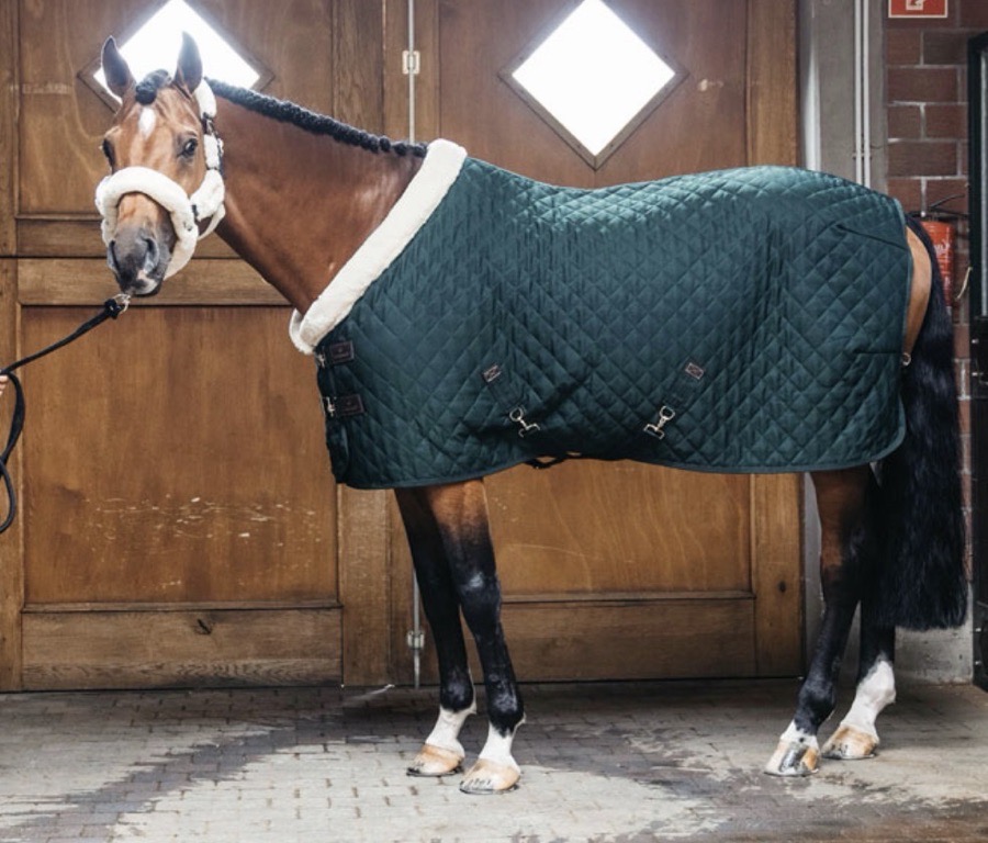 KENTUCKY SHOW Blanket 