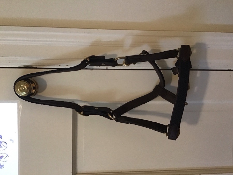 Brown/navy halter