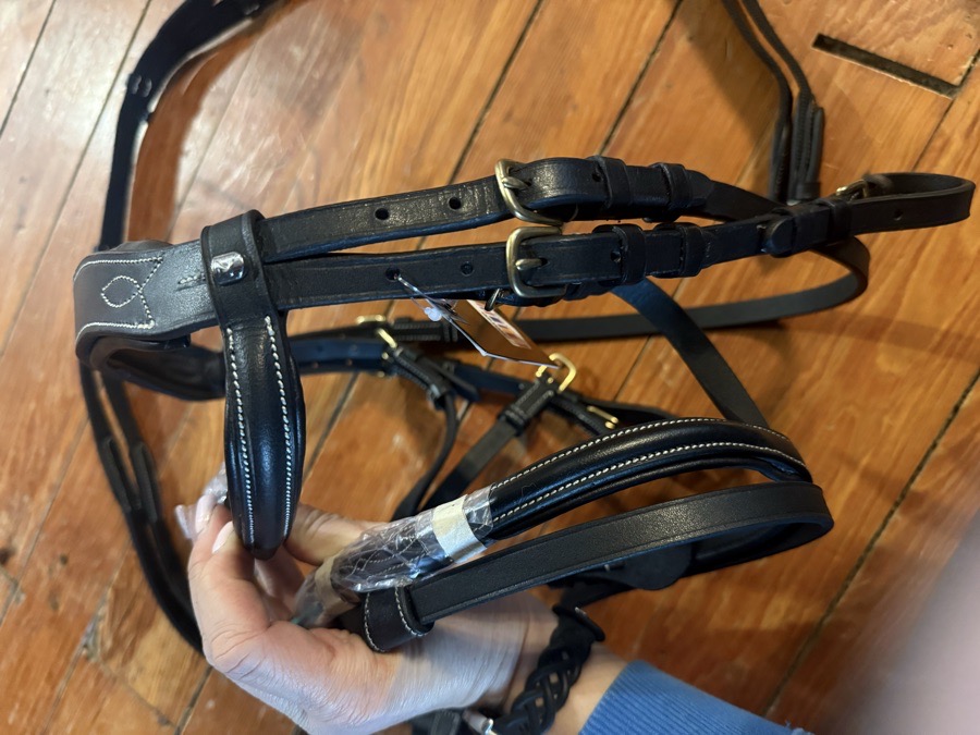 Pony sized Horze fancy stitch flash bridle