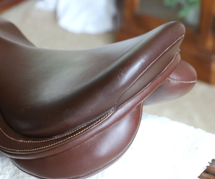 17.5" Collegiate Convertible Diploma Saddle