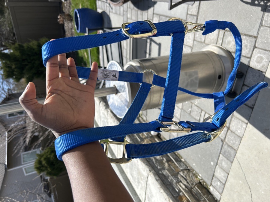 Royal blue Weavwr halter 