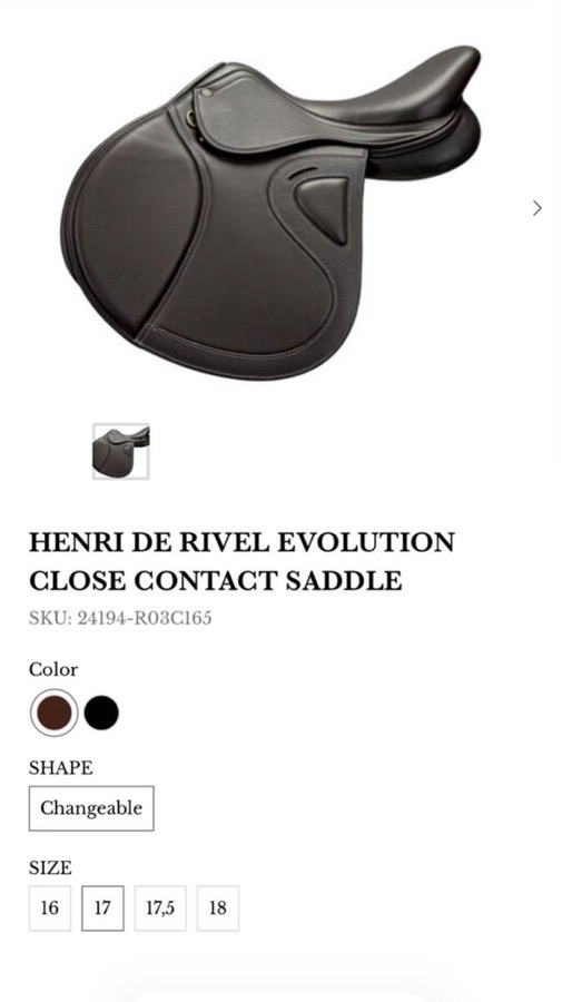 HDR - HENRI DE RIVEL Evolution | 17" | 5" Tree Size | 2026
