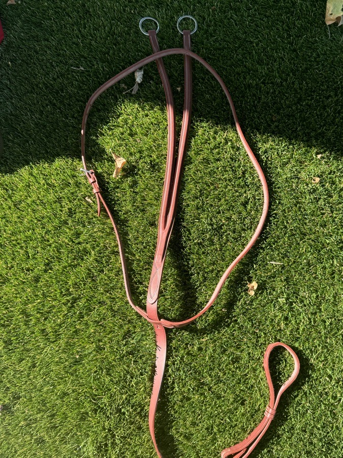 DEVOUCOUX Hunter Martingale 