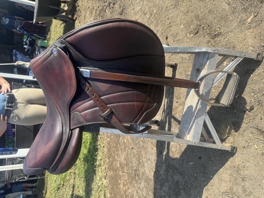 CWD Mademoislle Hunter | 17.5" | 2020