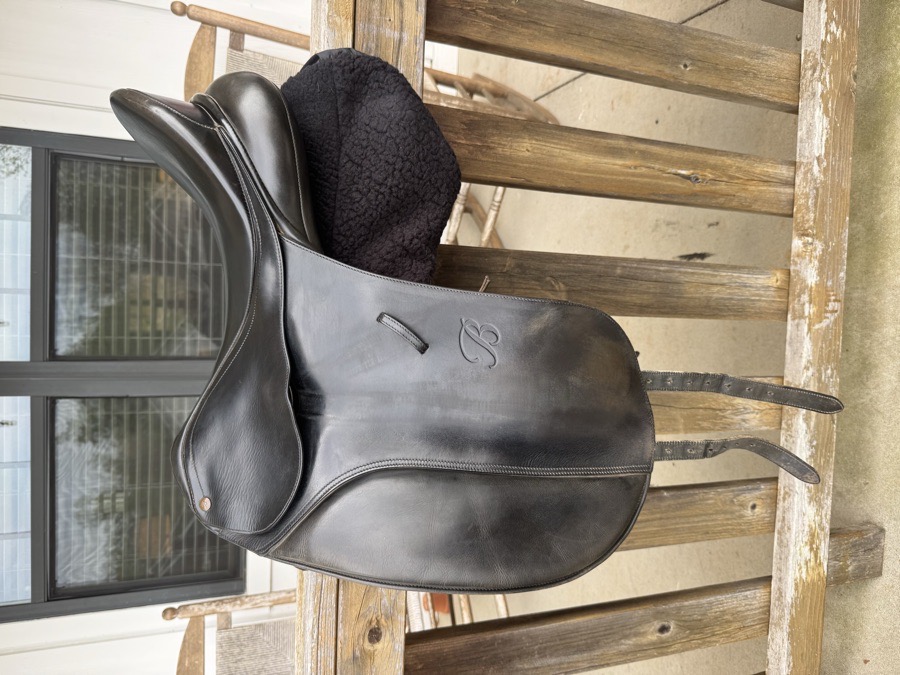 Bates Caprilli Dressage 17.5”