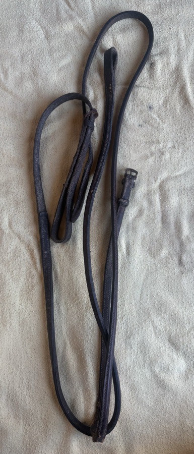 Pony sized standing martingale