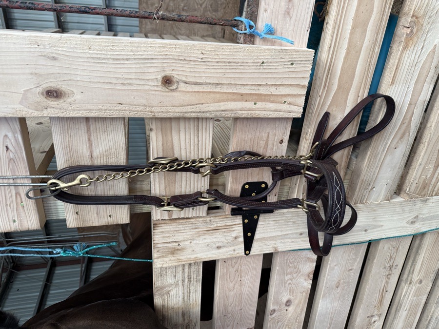 WALSH Halter/Rope OverSize