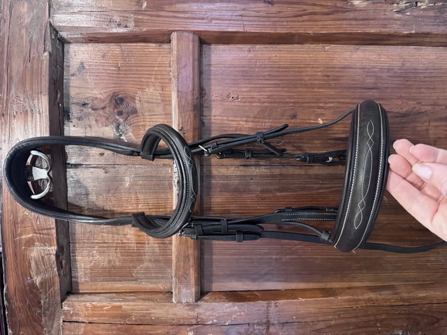 SMARTPAK Bridle Horse