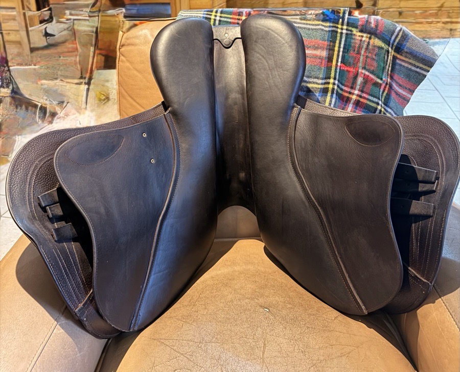 CWD | 18" | 8" Tree Size | 2025