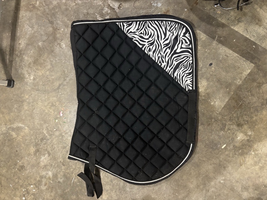 SADDLE PAD LOT!! (horse size)