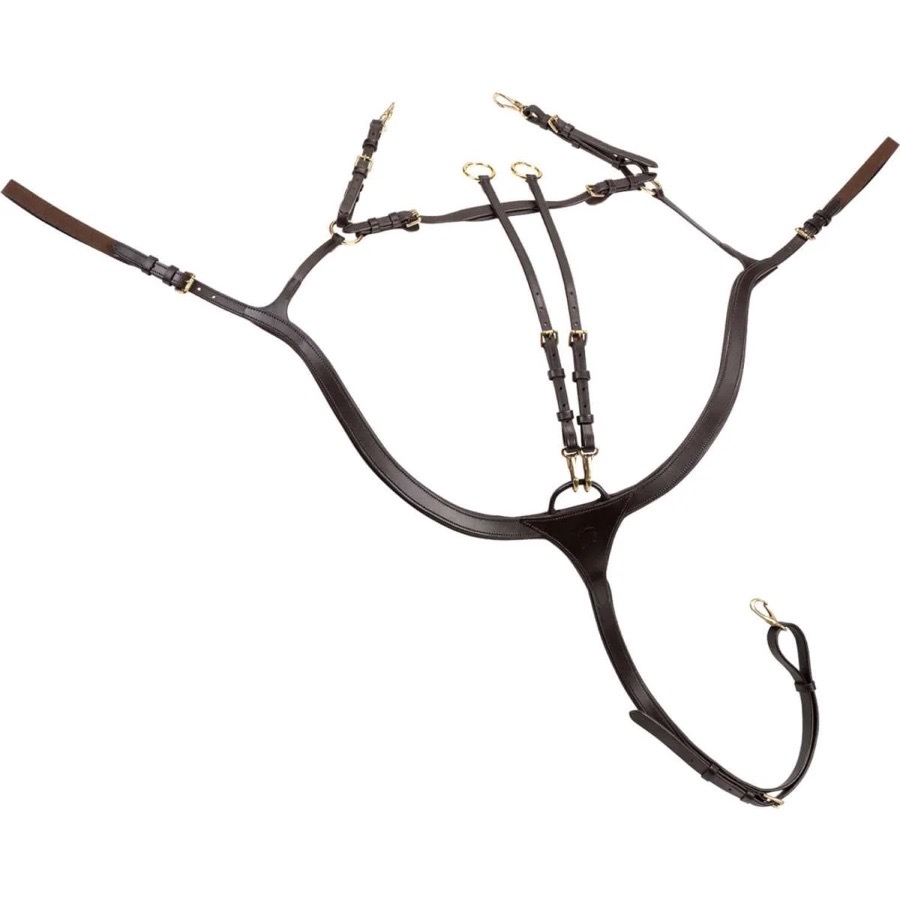 Sunrider Breastplate Ascot, 5-point, 3-point