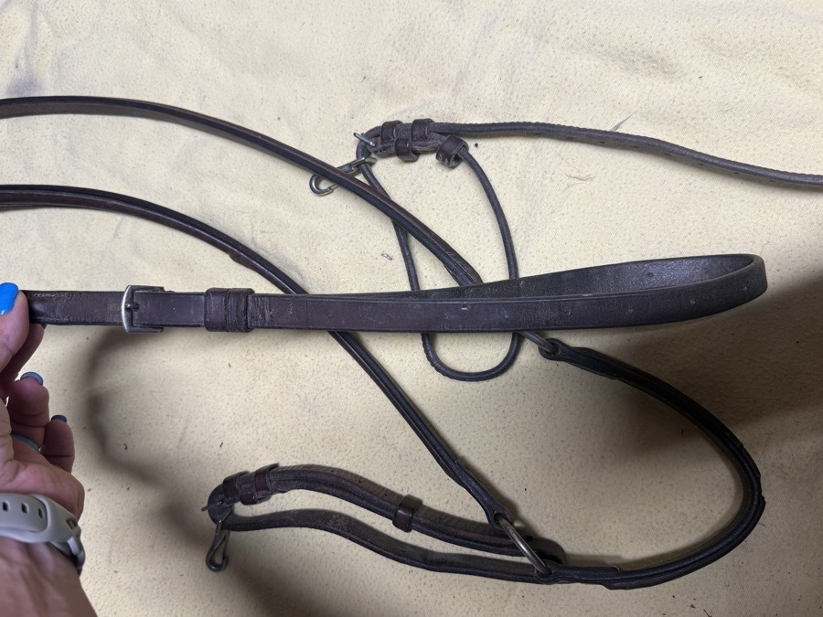 full sized 3 point breastplate