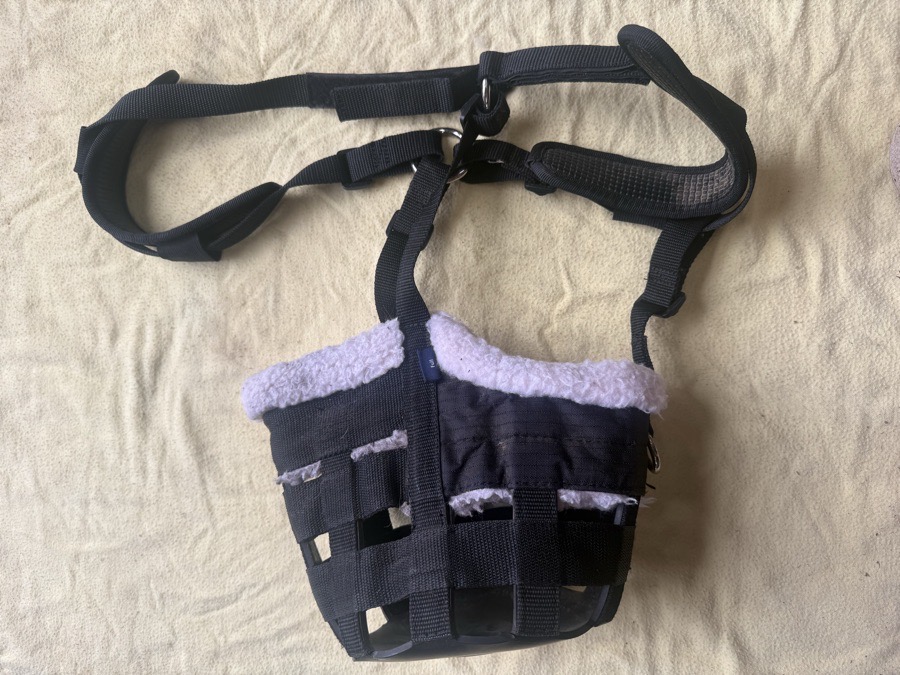 Shires full sized grazing muzzle