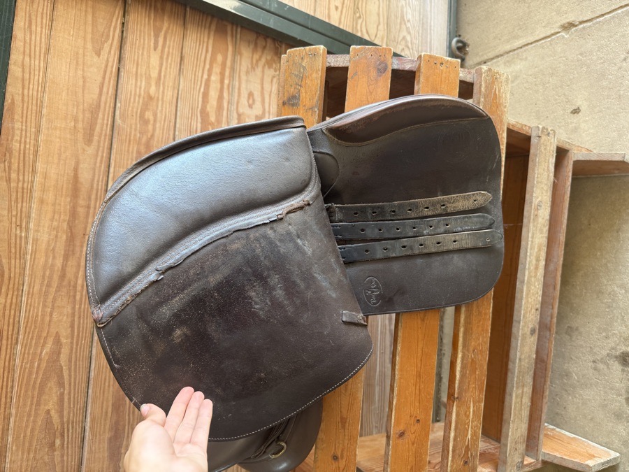 Collegiate jumping saddle
