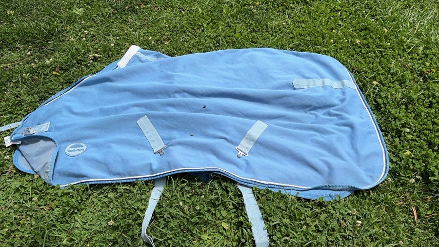 OTHER Fly Sheets & Mask Pony