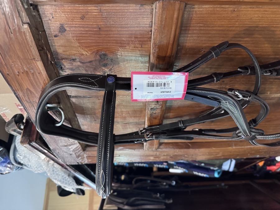NUNN FINER Bridle Horse