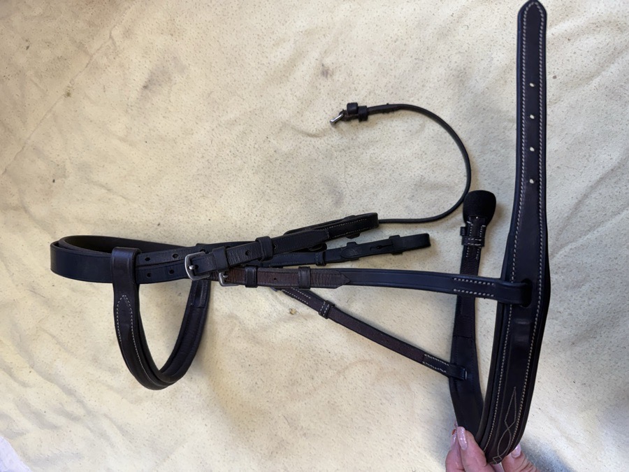 pony fancy stitch bridle