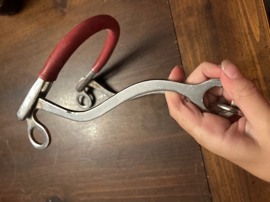 Hackamore with gum-rubber covered chain noseband