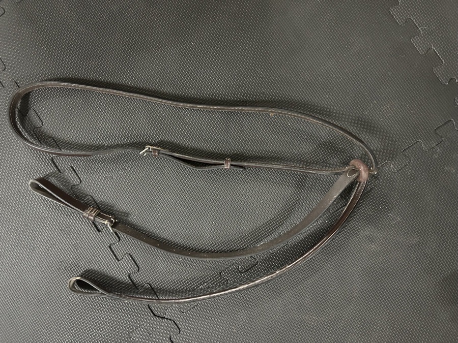 Black Oak Pony Martiangale 