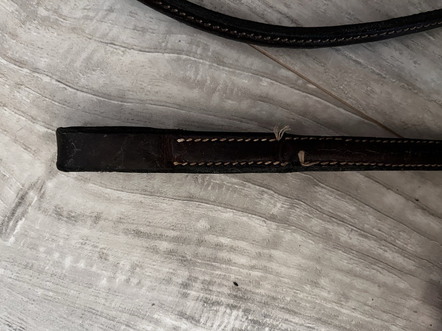 Standing Martingale Horse Size