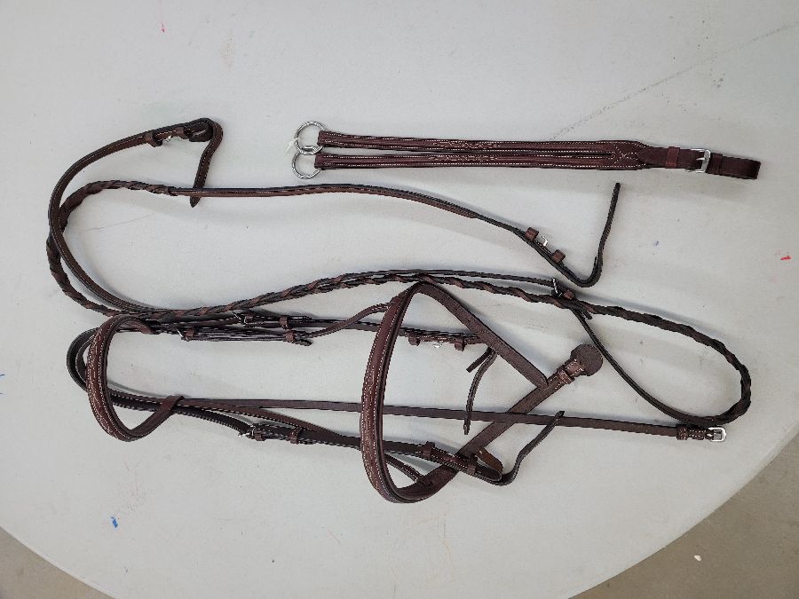 New Braided Show Bridle- Horse