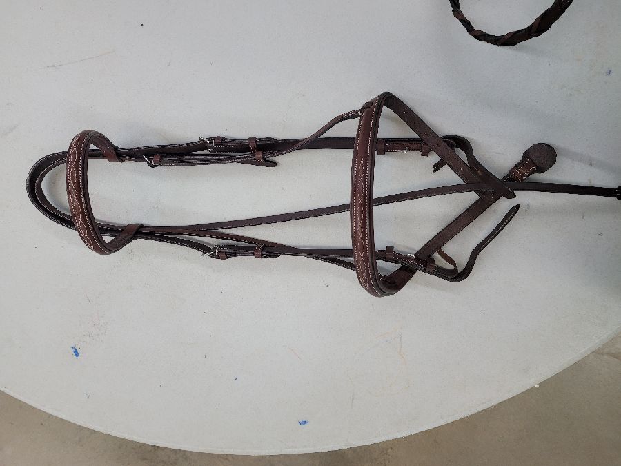 New Braided Show Bridle- Horse