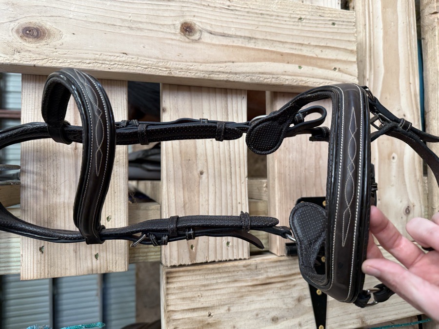 Jump’In Bridle Large