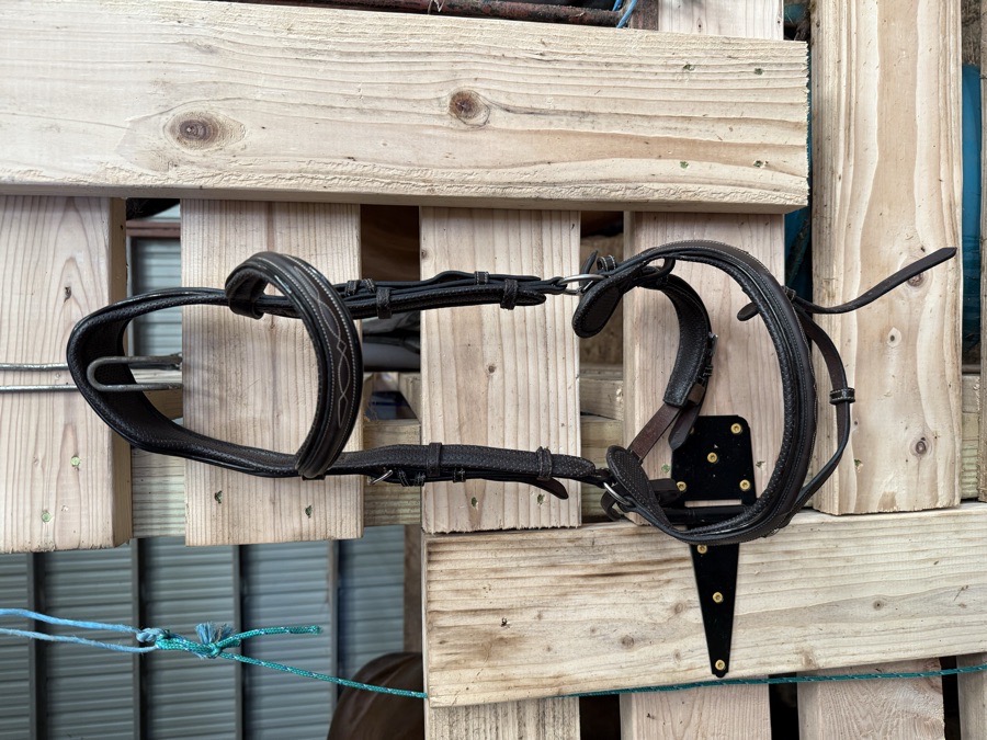 Jump’In Bridle Large