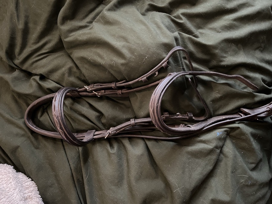 Pony English bridle 