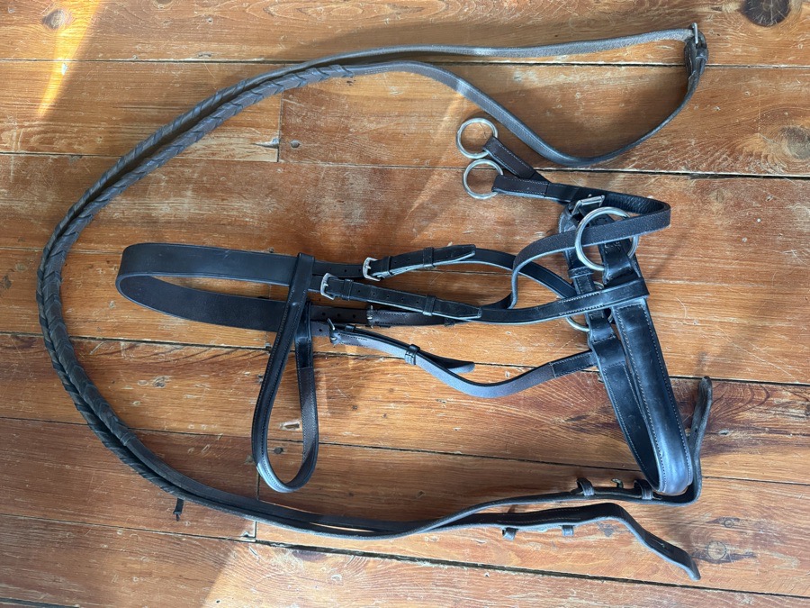 Oversized bitless bride