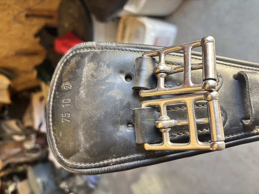 Leather Girth