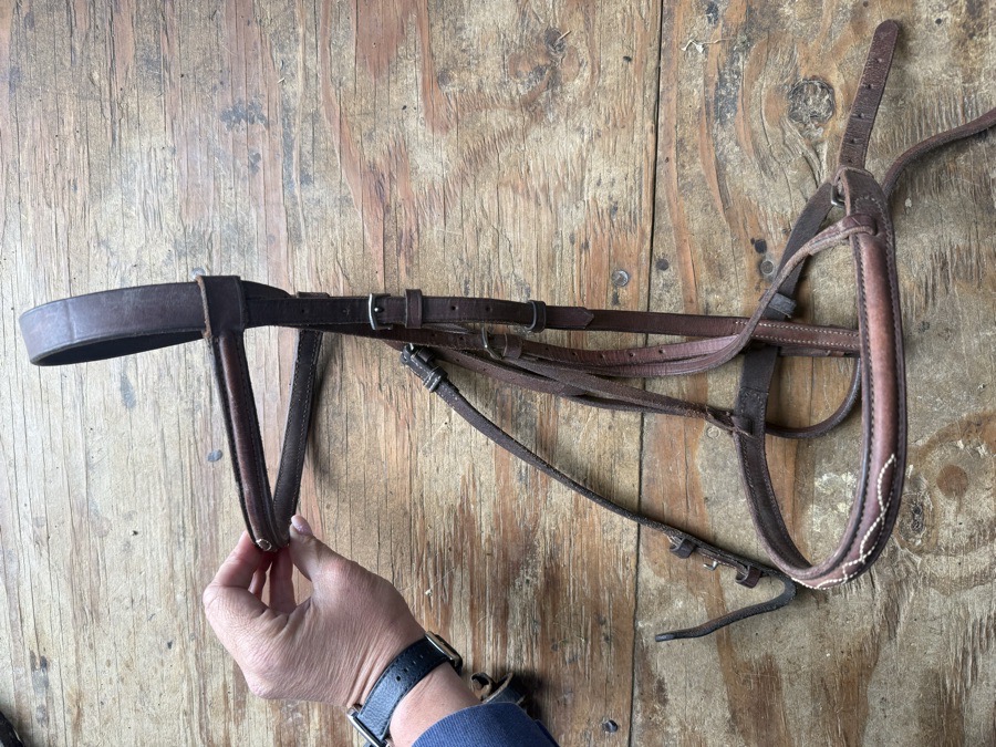 full sized fancy stitch bridle