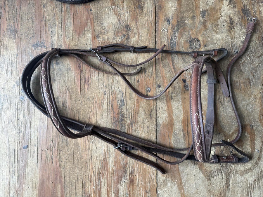 full sized fancy stitch bridle