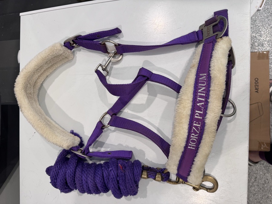 HORZE Halter/Rope Horse